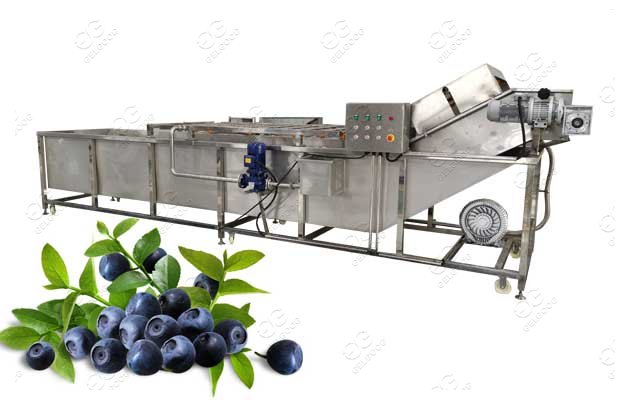 Automatic Fruit Blueberry Washing Machine Price