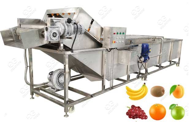 automatic fruit washing machine
