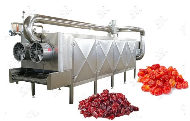 automatic fruit dehydration machine supplier