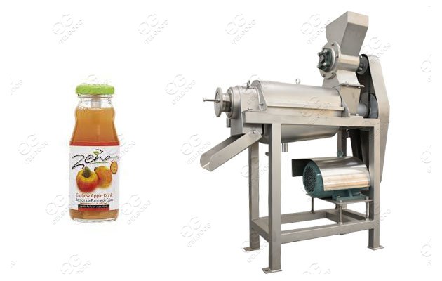 commercial cashew apple juice processing plant