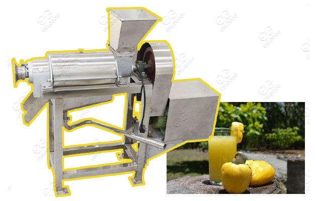 cashew apple juice processing machinery