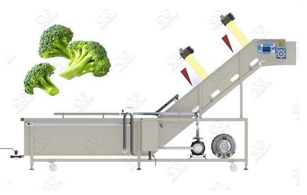 vegetable washing machine for sale