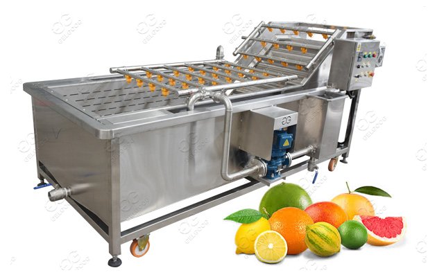 Industrial Fruit and Vegetable Washing Machine