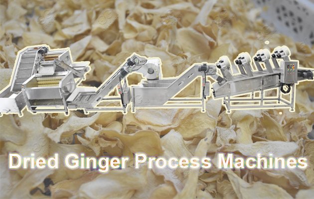 continuous ginger powder production line