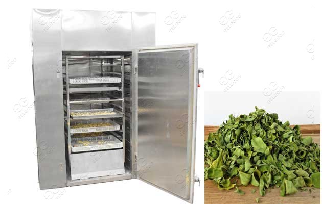 moringa leaves drying machine