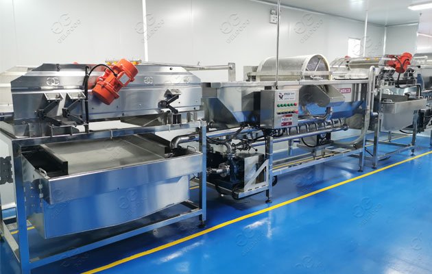 vegetable processing plant and machinery