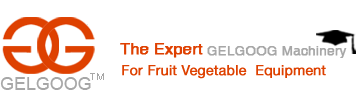 GELGOOG-Cutting|Washing|Juicer|Pitting|Fry Machine-Vegetable And Fruit Machine Unit Of Gelgoog Machinery