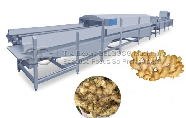 Ginger washing Line|Ginger Cleaning Line|Ginger Processing Line for Sale