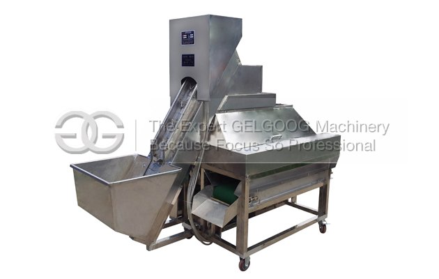 Onion Peeler Machine |Onion Skin Peeling Machine