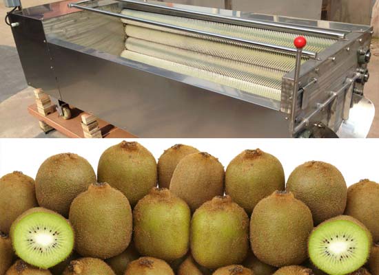 kiwi washing machine|fruit vegetable washing machine