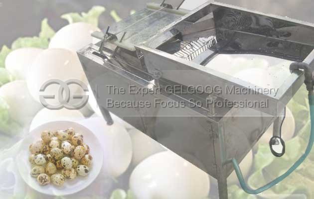 quail egg peeling machine|quail egg shelling machine