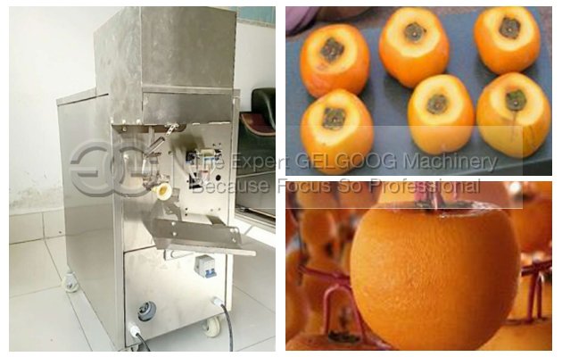 persimmon peeling machine