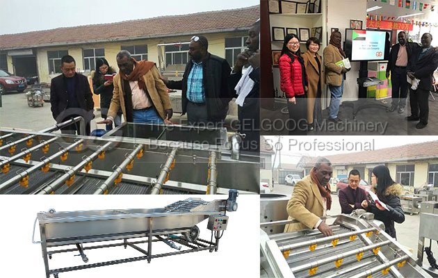 vegetables washing machine. vegetables washing machine