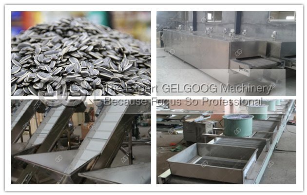sunflower roasting machine line sunflower roasting machine line