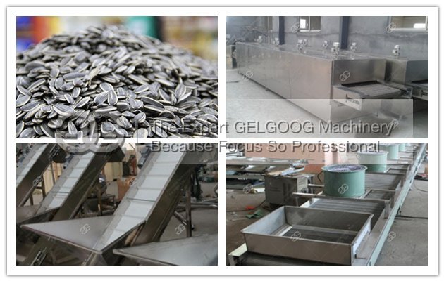 sunflower roasting machine line