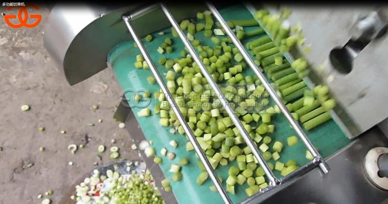 Vegetable cutting machine Work Video
