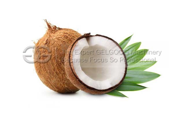 coconut milk process machine for sale