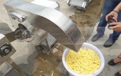  Test French Fries cutting machine for USA Customers