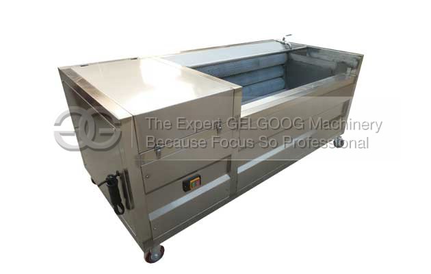 brush type fruit vegetable washing machine for sale china