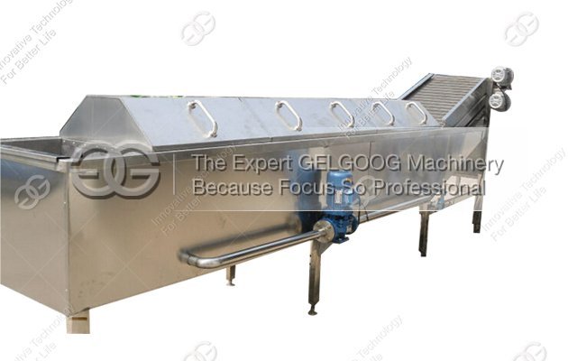 vegetable blanching machine|meat blanching machine