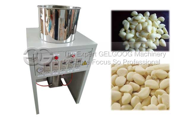automatic garlic peeling machine price in india