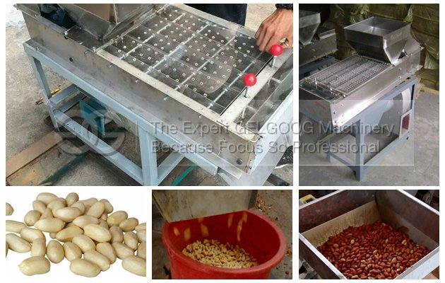 automatic peanut peeler machine with low price in china