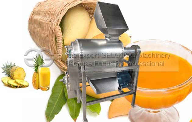 Fruit Vegetable Plup Machine for Mango,Lichi,Guava,Mixed Fruit