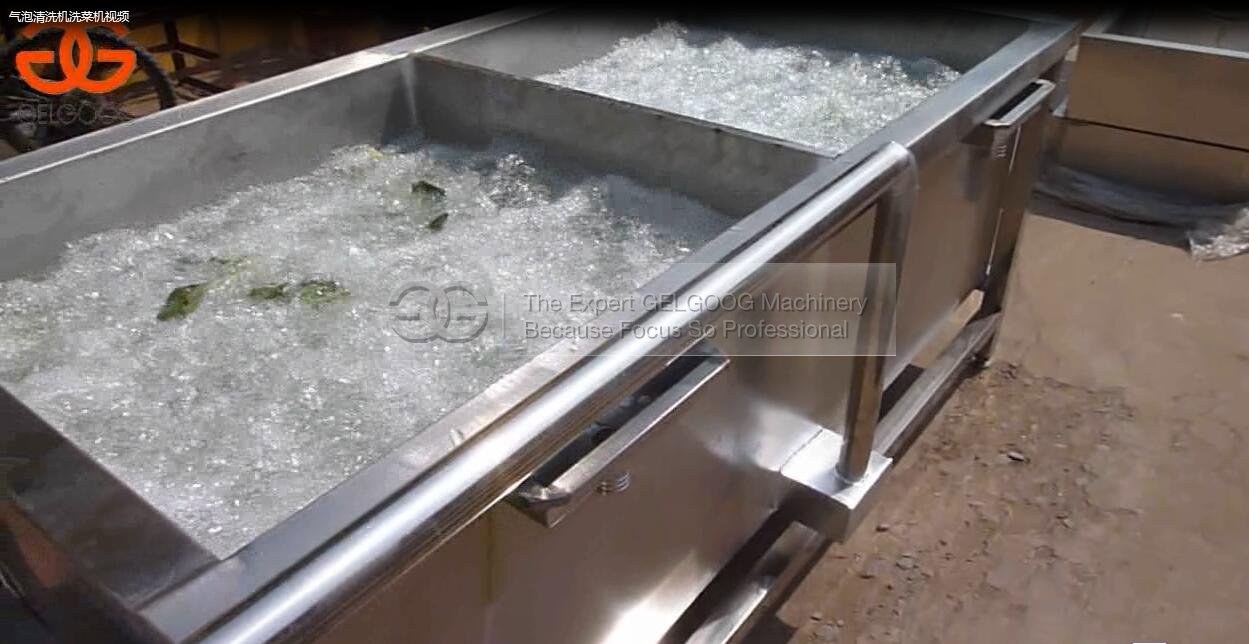 Air bubble type vegetable washing machine china supplier with low price 
