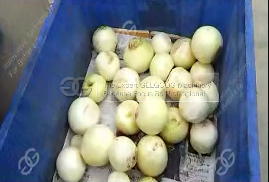 Onion Peeling and Root cutting machine Video 