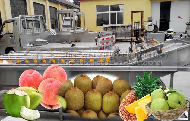 fruit vegetable washing machine for coconut,pineapple,apple