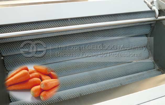 carrot washing and peeling machine with best price in china