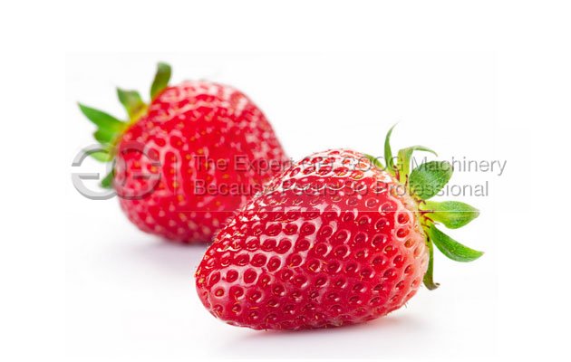 strawberry washing machine with best price in china