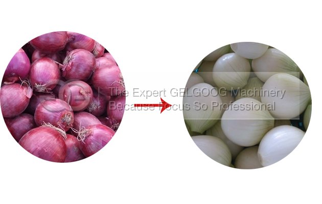 Professional onion Peeling Machine Supplier