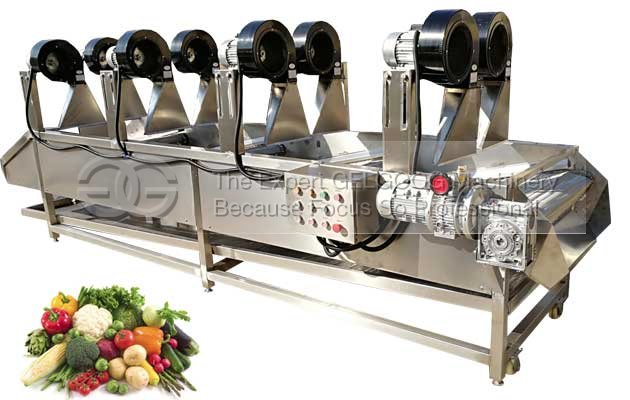 fruit vegetable air drying machine with best price