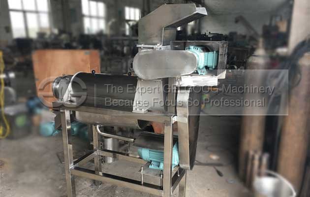 apple fruit juice extracting machine to  Burkina Faso