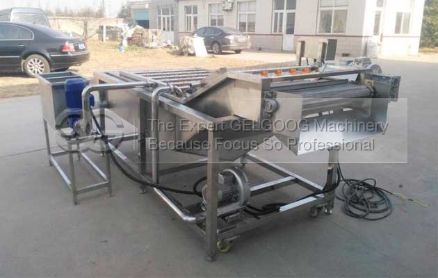commerical vegetable washing and air drying machine with high quality