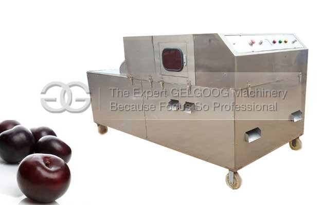 Black Plum Pitting Machine|Plam Date Pitter Machine