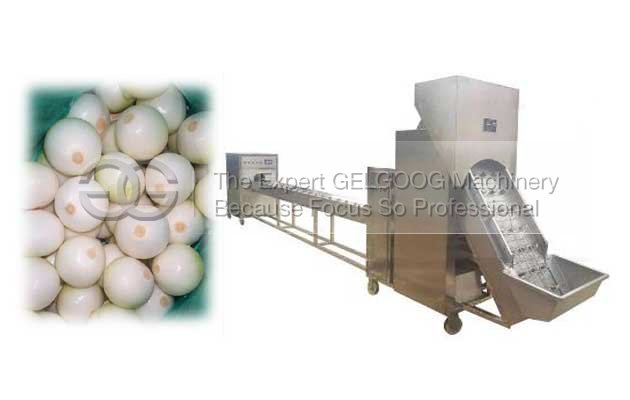 onion peeling and root cutting machine 