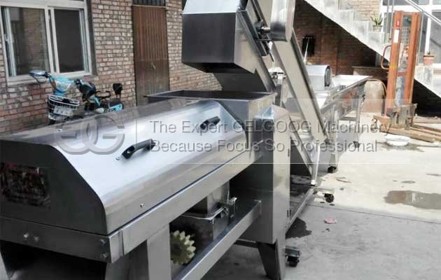 grape setm removing and crushing machine