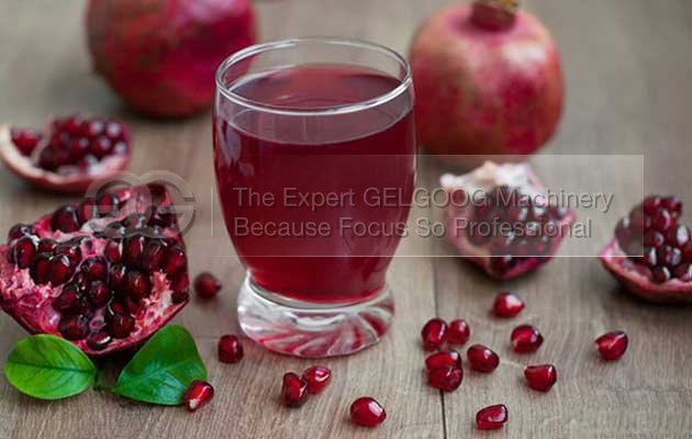 pomegranate aril separator process machine