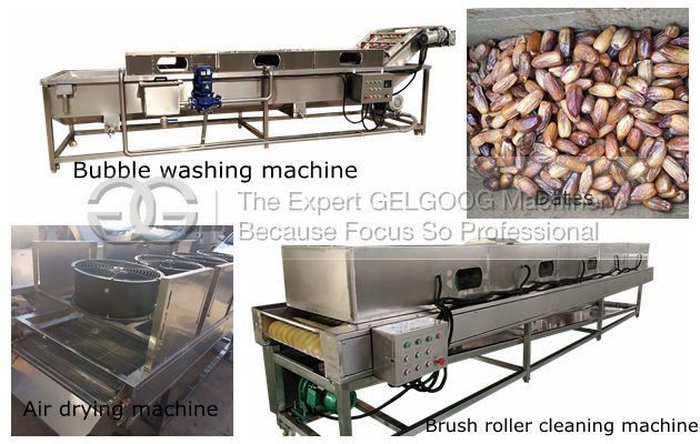 Dates Washing and Drying Line Without Damage for Commercial Use