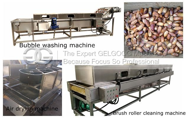 Dates washing and Drying Line Without Damage for Commercial Use