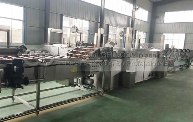 dates washing processing line manufacturer