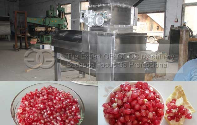 pomegrante aril separator machine cost