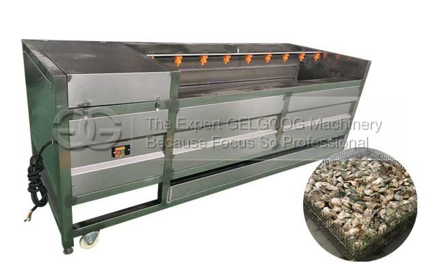 commerical oyster washing and cleaning machine for sale