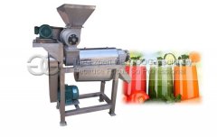 Industrial Ginger garlic And Melon Juice Machine 