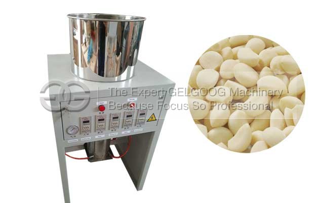 automatic garlic processing plant for sale