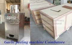 Automatic garlic Peeling Machine Manufacturer Ship Coimbatore