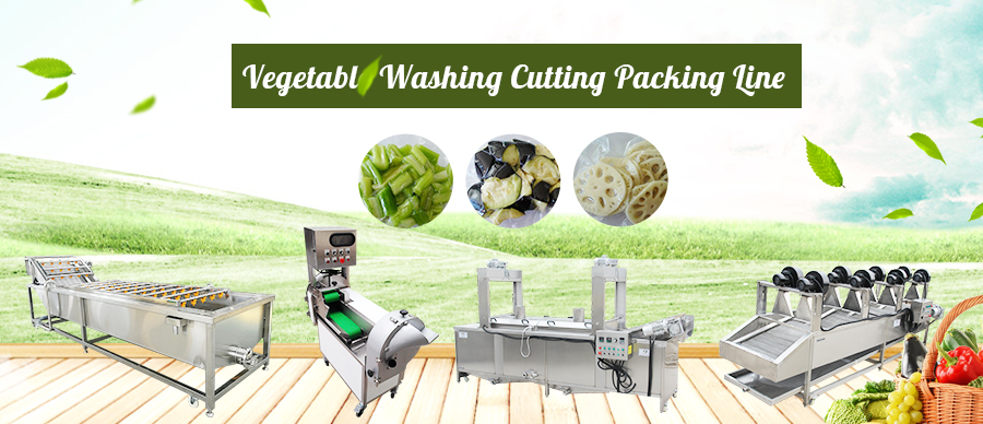 Vegetable Washing cutting Packing machine s