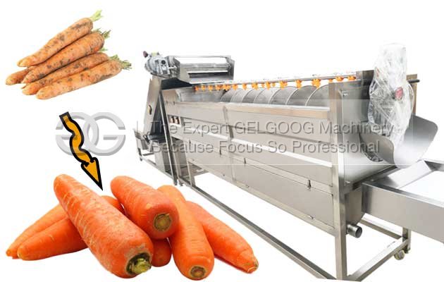 Carrot Washing and Polishing Machine Manufacturer